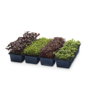 ANL Plastics packaging packaging for Koppert Cress